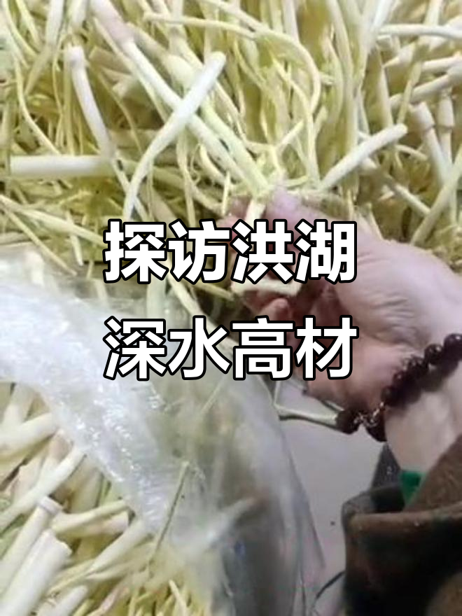 洪湖深水高材揭秘，藕山特产让人惊艳