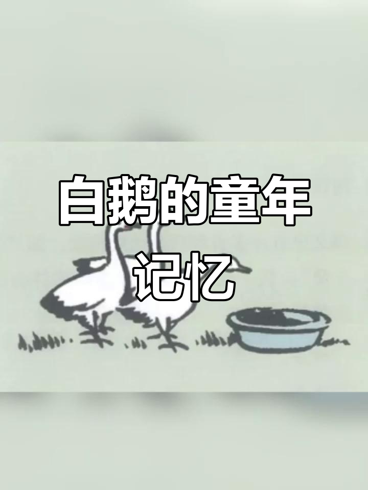 童年回忆,丰子恺《白鹅》改编视频,永远难忘!