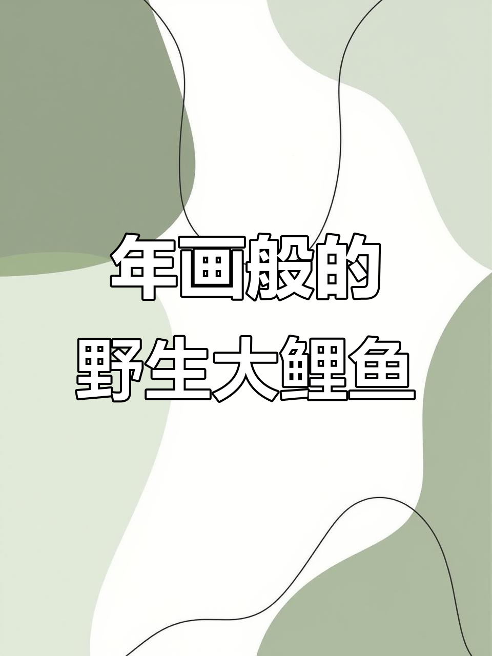 东北野生大鲤鱼,焦黄如年画般美丽,超便宜!