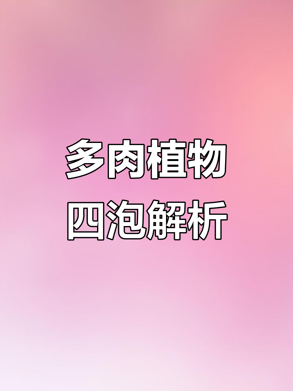 火山、太阳蛋糕与小贝壳水泡,多肉植物养护大揭秘