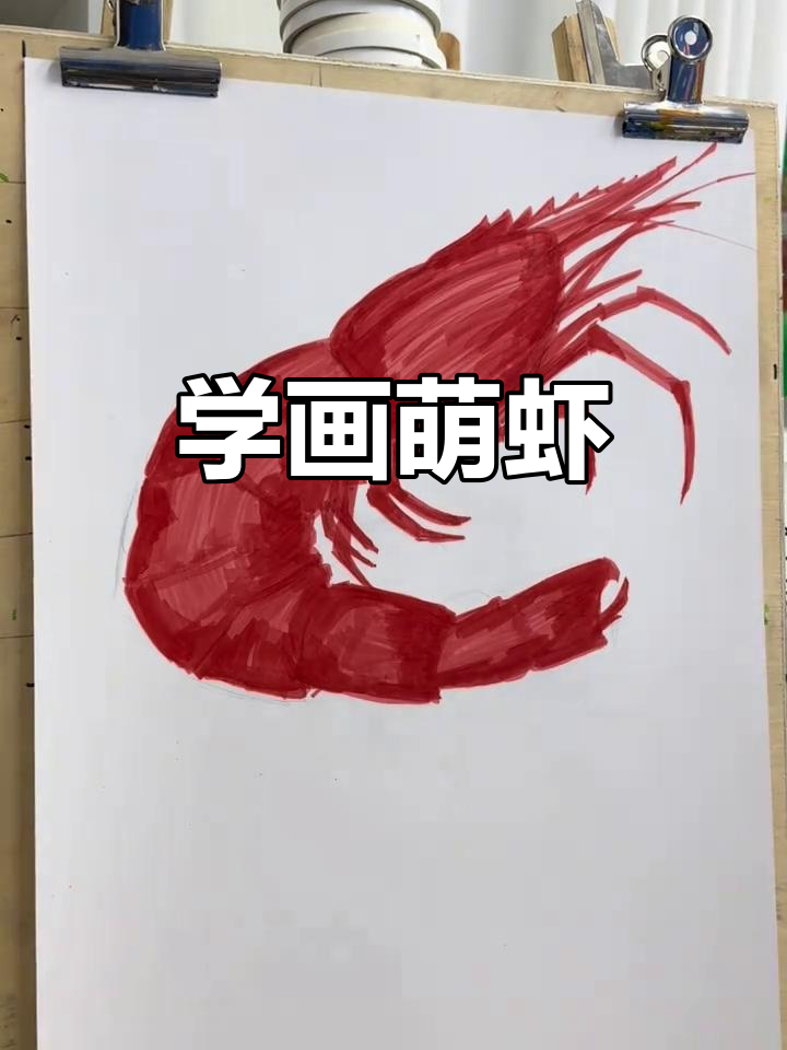 沈阳少儿美术：教你画可爱小虾，简单又有趣！