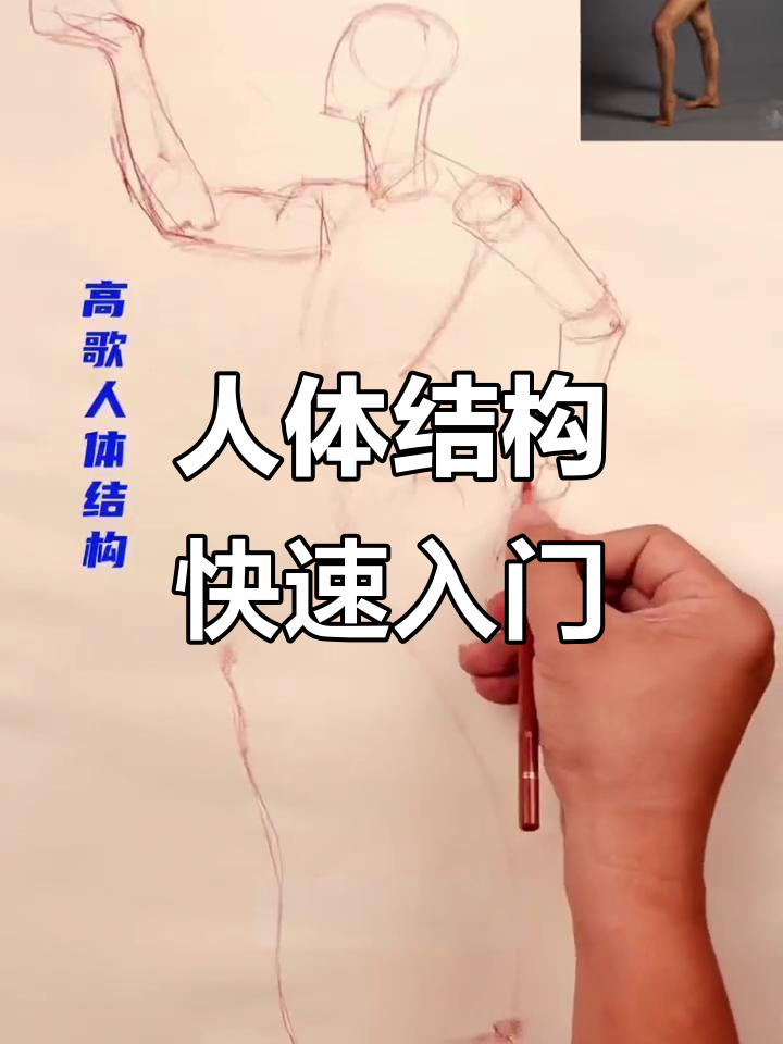 人体结构速写技巧:从头部到肩部的解剖与运动分析