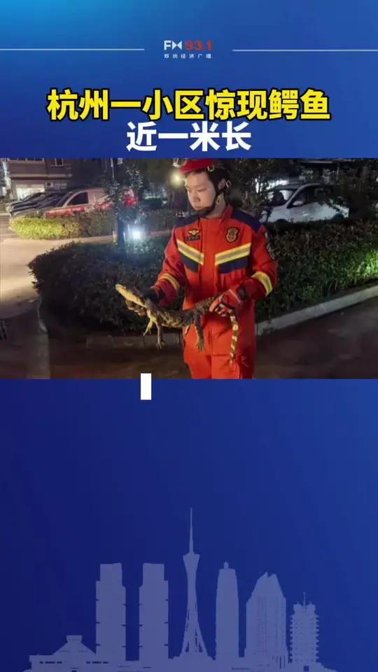 杭州一小区惊现鳄鱼,近一米长!居民:太可怕了