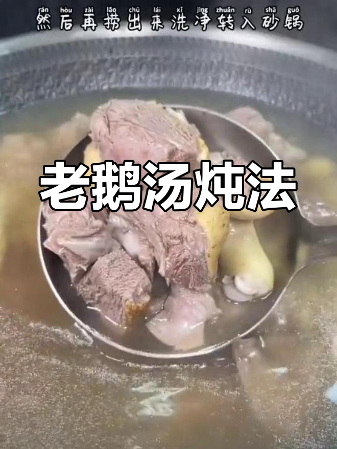 松茸菌老鹅汤的做法