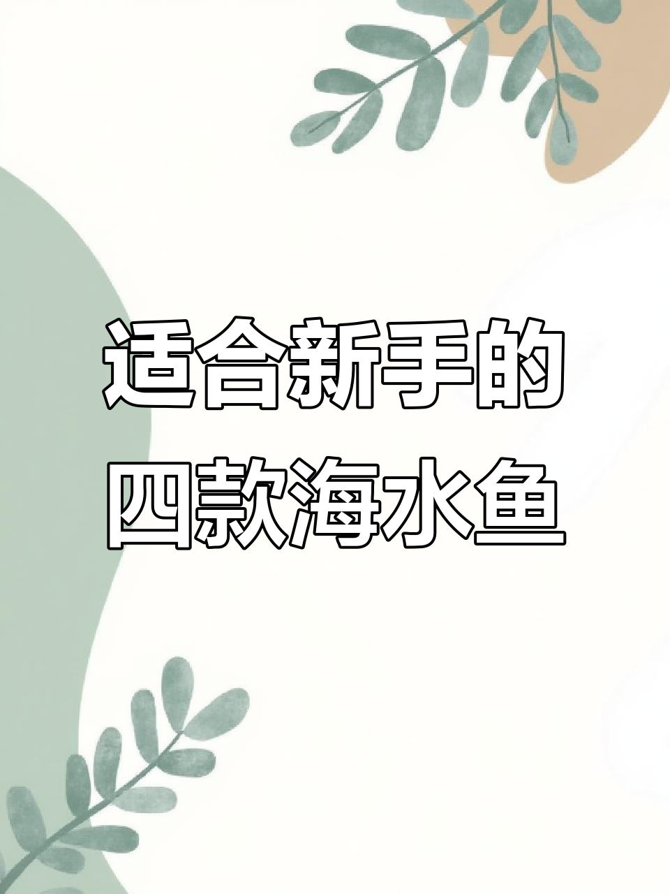 新手海缸必养四种鱼,超平价又好照顾