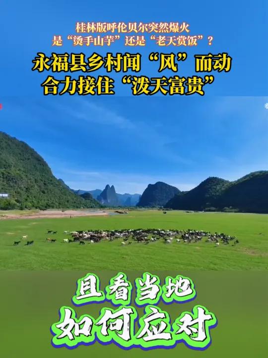 “桂林版呼伦贝尔”突然爆火,是“烫手山芋”还是“老天赏饭”?永福县乡村闻“风”而动合力接住