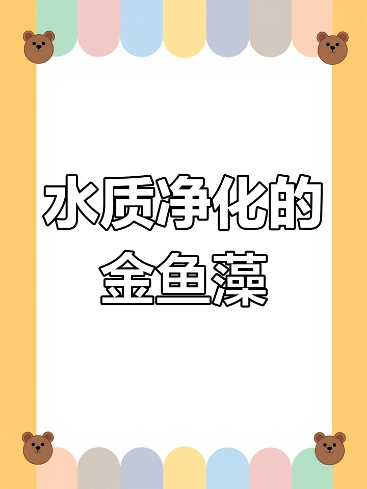 金鱼藻:净化水质的多年生水生植物