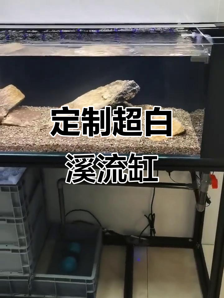 超白鱼缸定制,溪流主缸设计大揭秘