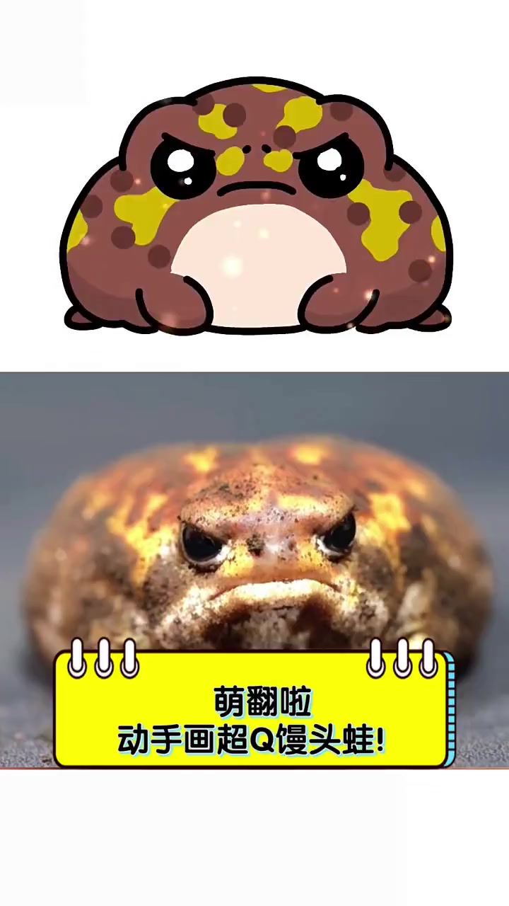 萌翻啦,动手画超Q馒头蛙!