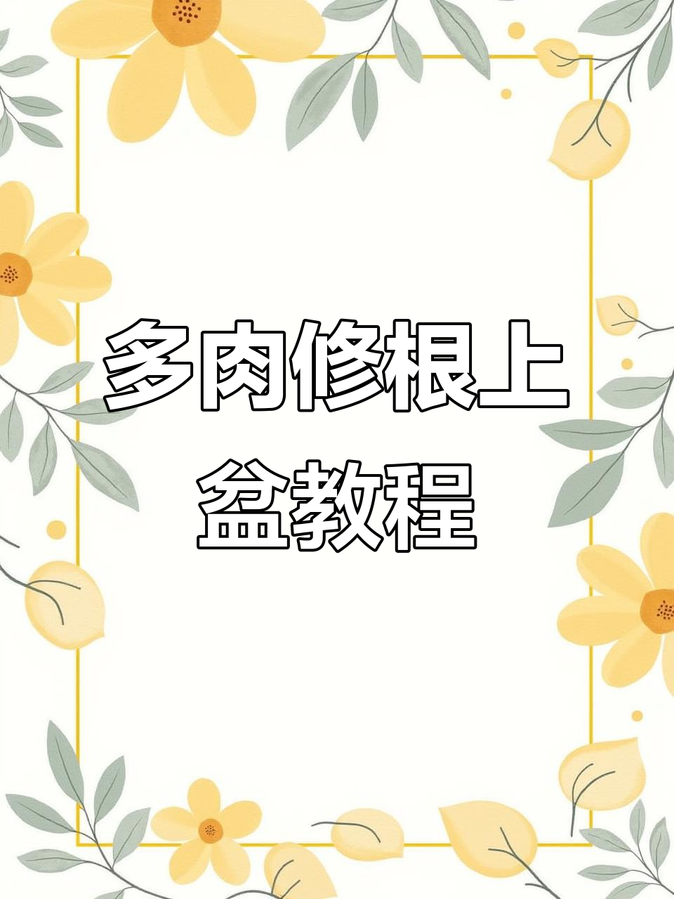 多肉老桩修根上盆技巧，轻松打造健康根系