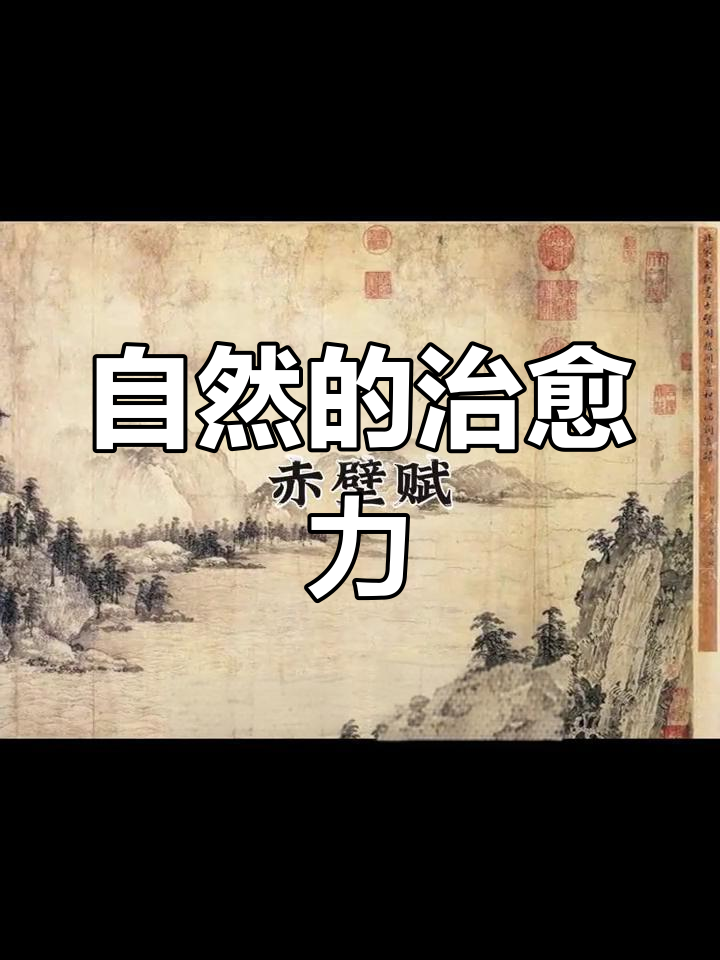 心灵疲惫时,静听清风与明月,自然之美治愈一切