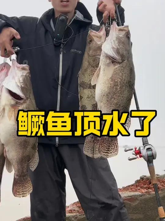春天鳜鱼什么时候顶水?怎么判断自己地区的鱼情!路亚新手入门教程钓鱼技巧路亚鳜鱼鳜鱼季绫罗p
