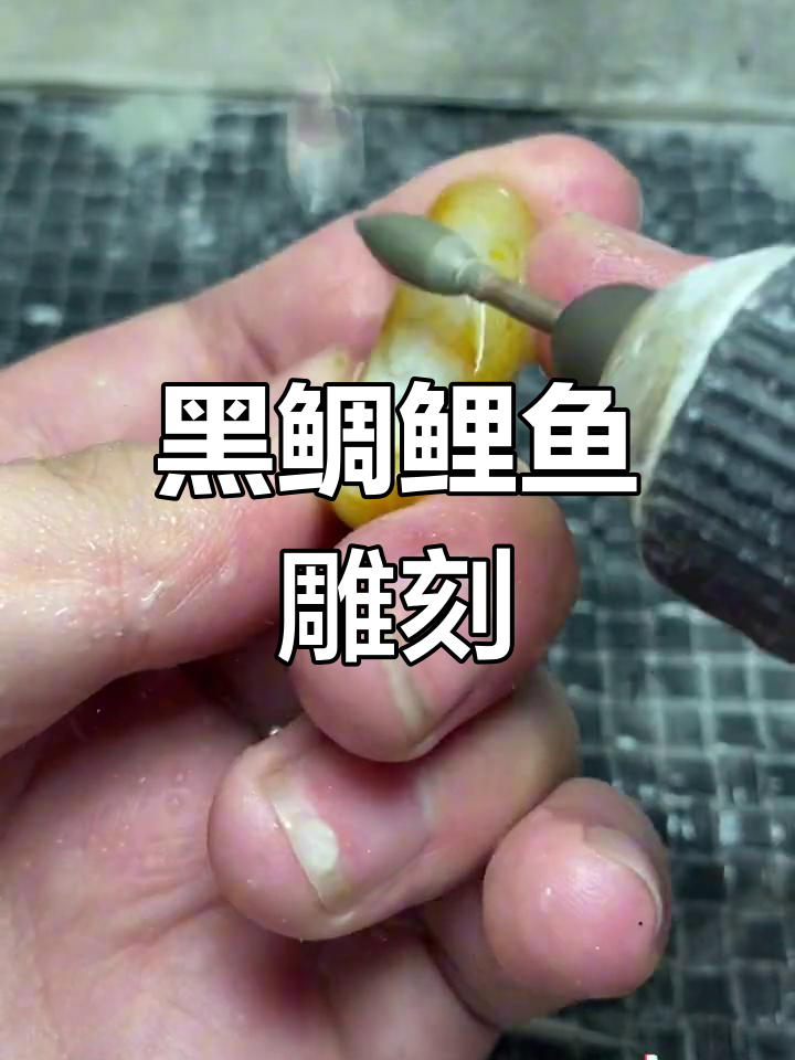 雕刻鲤鱼,黑鲷科粉丝的创意设计