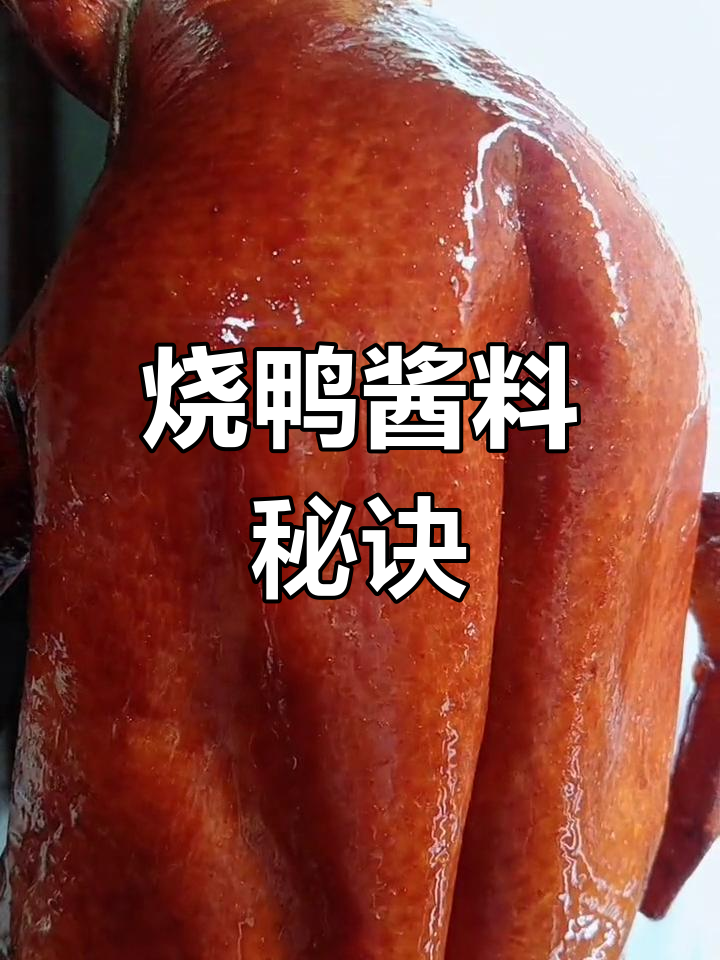 烧鸭酱料秘方:多种调味品混合,香气扑鼻!