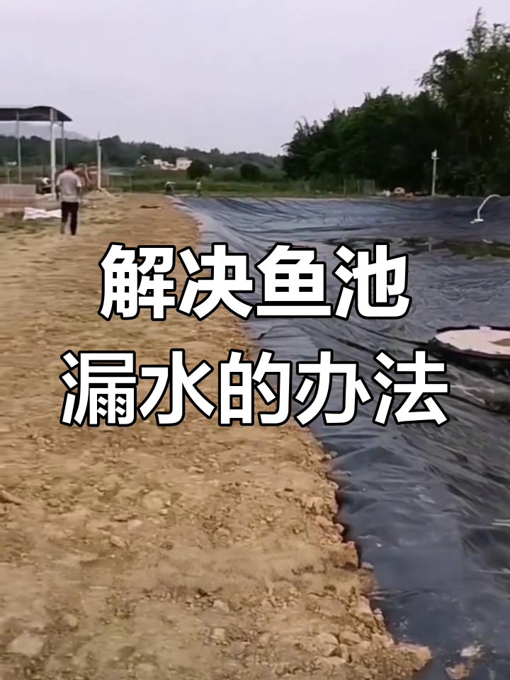 鱼塘防渗新方法,轻松解决漏水问题