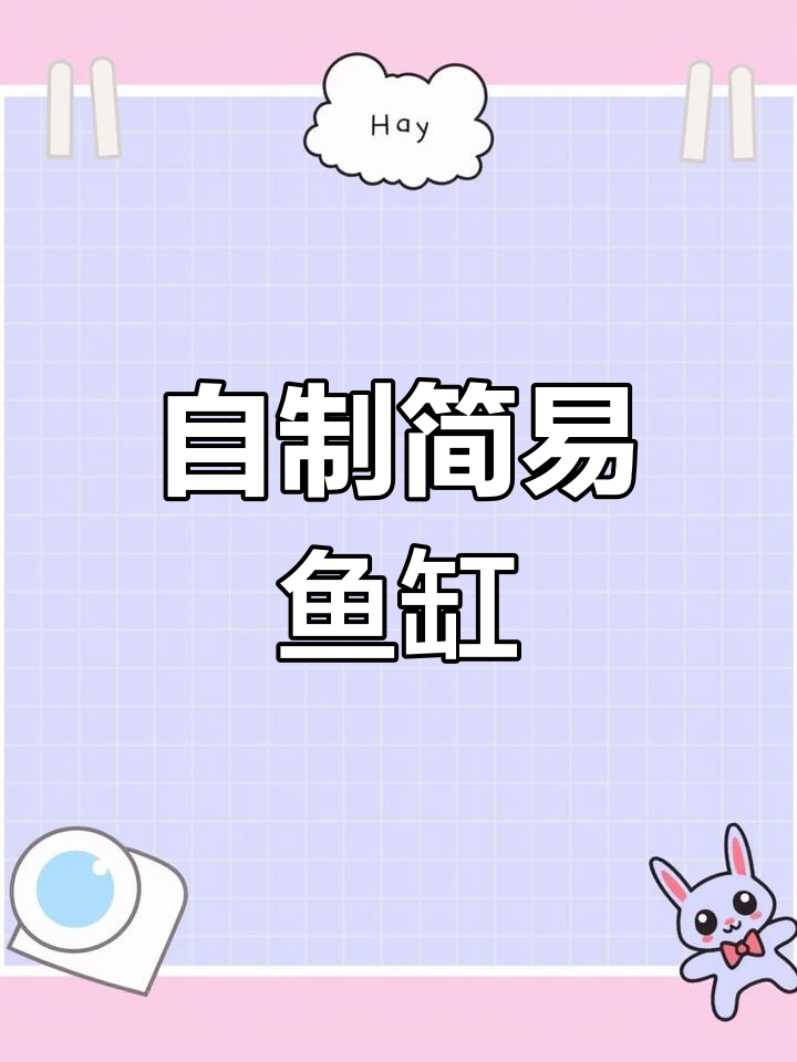 家庭DIY鱼菜共生系统,轻松打造生态水族馆