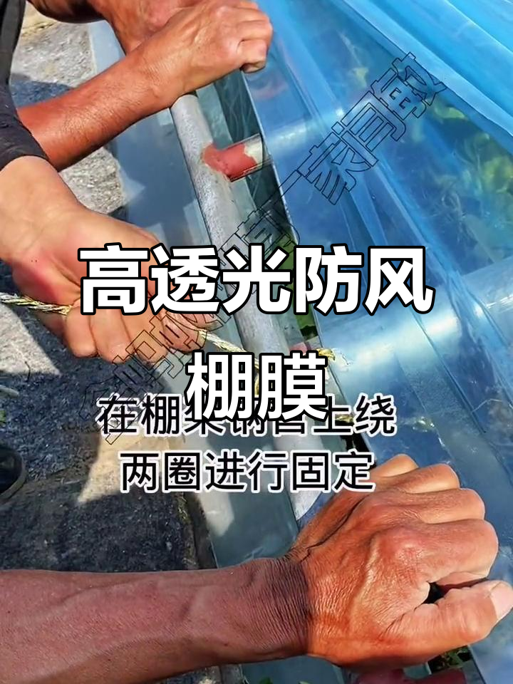 夏季防风棚膜,透光率高达95%!