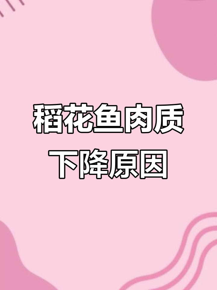 稻花鱼为何变味?养殖环境改变影响肉质