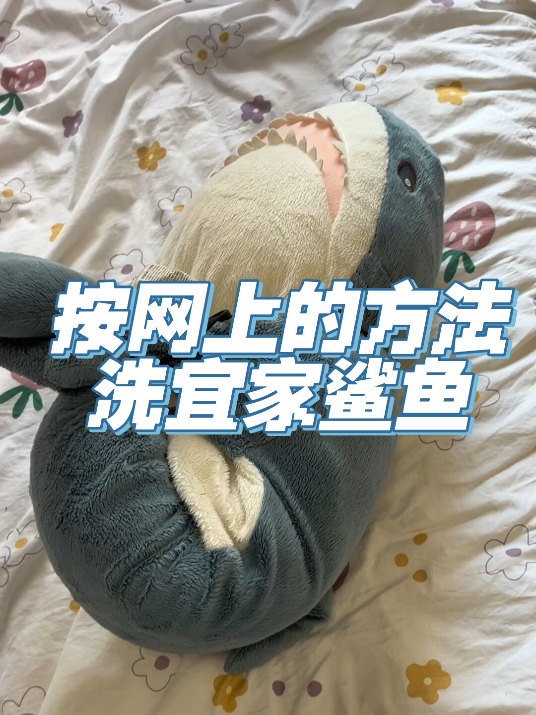 宜家鲨鱼要怎么洗啊啊啊