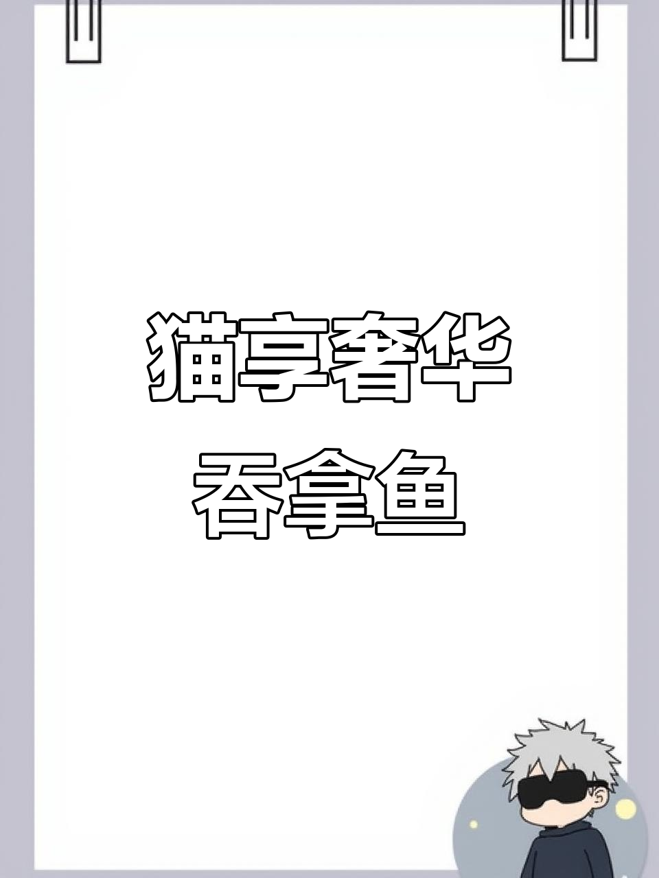 豪华吞拿鱼刺身寿司，猫咪的幸福时光