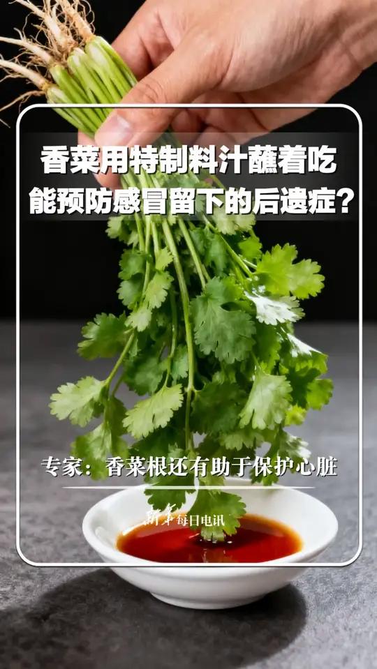香菜用特制料汁蘸着吃,能预防感冒留下的后遗症?专家:香菜根还有助于保护心脏。新华每日电讯