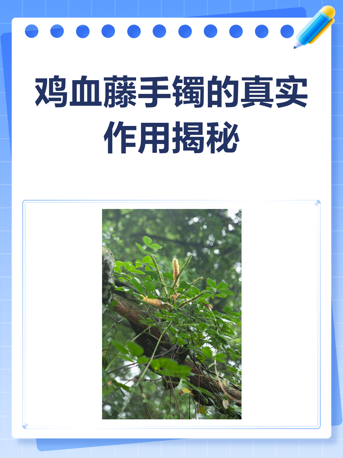 鸡血藤手镯，真的有用吗？