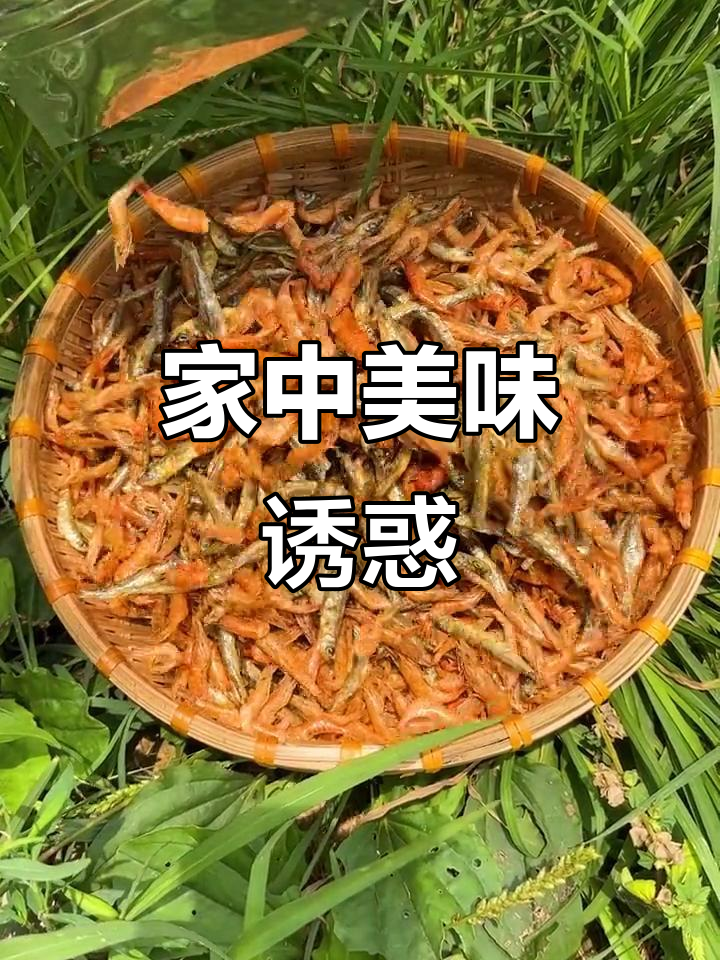 柴火焙干小鱼虾,辣椒炒制香气扑鼻,绝对让你停不下来!