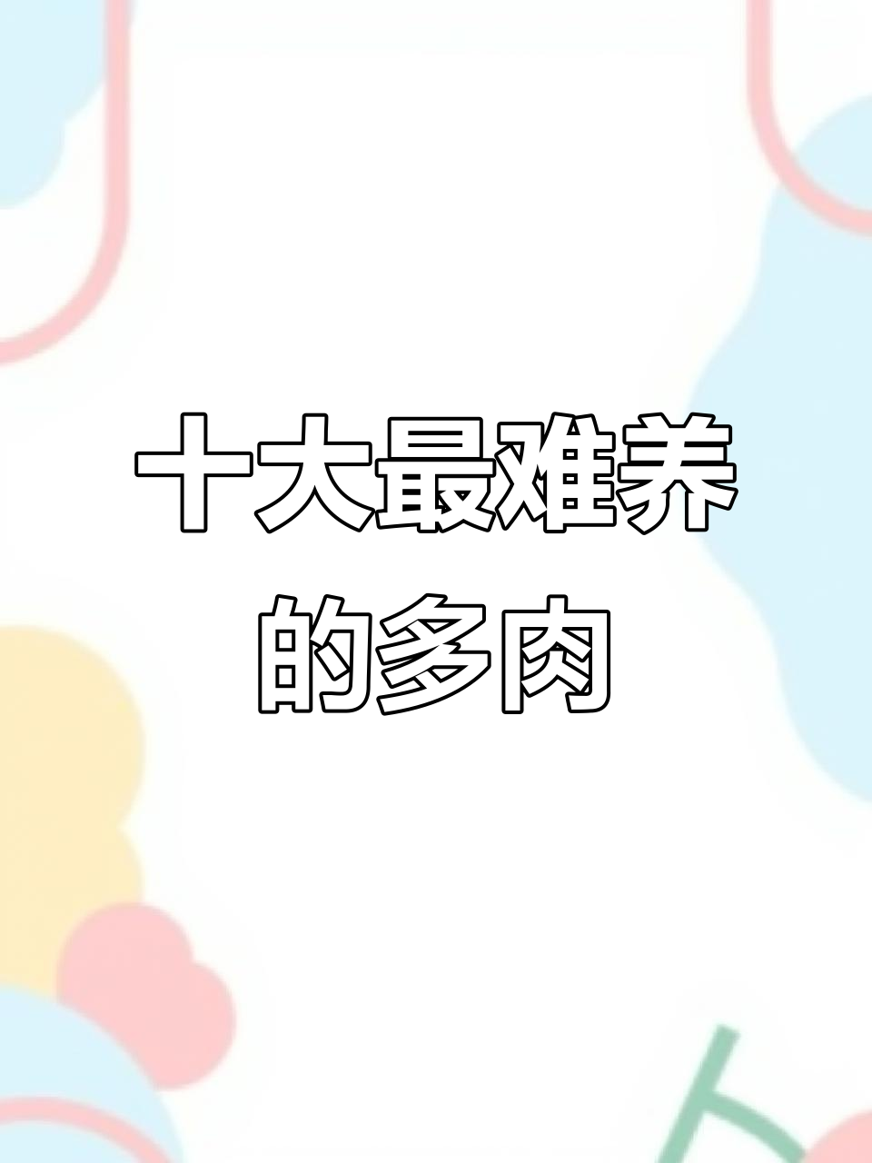 养死这10种多肉,才是真正的养肉高手