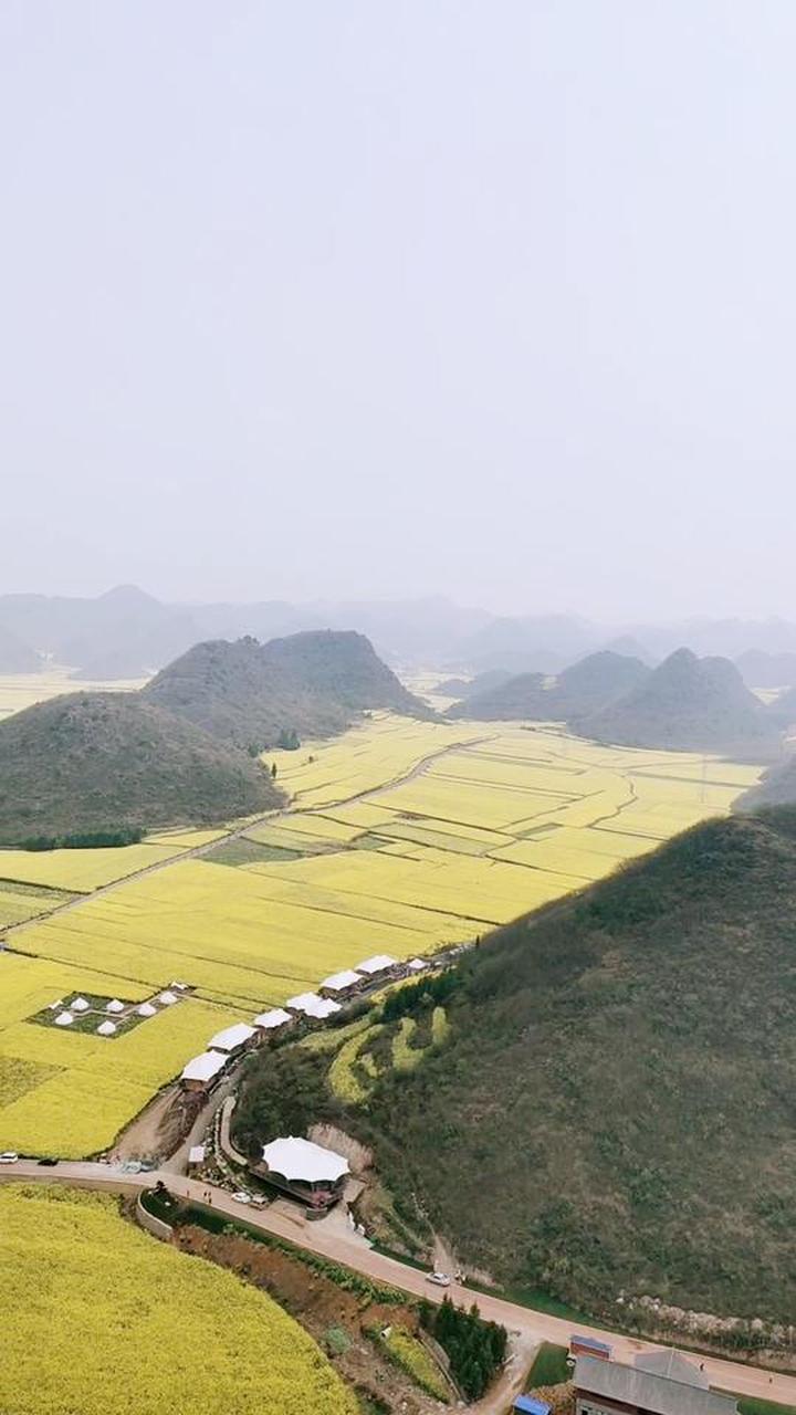 罗平金鸡峰丛犹如花海中的“桂林”