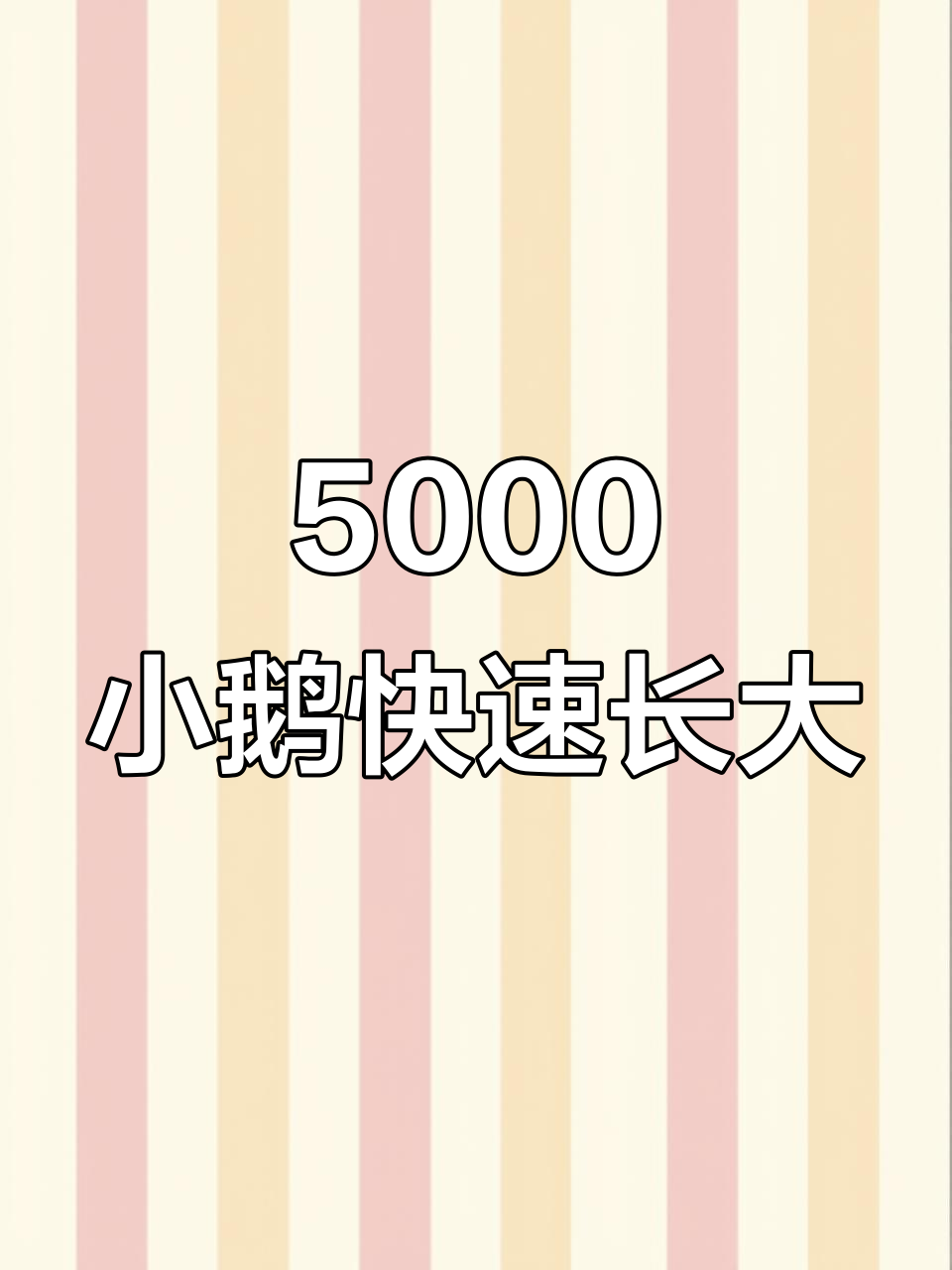 小鹅成长记:8天5千只,喂食效果惊人