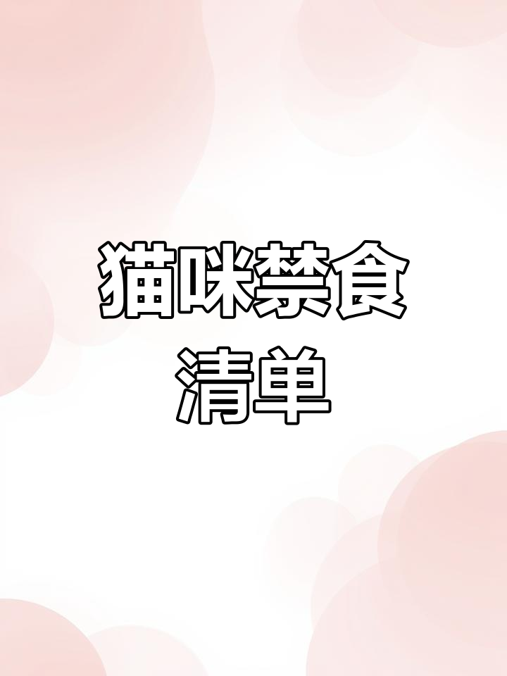 布偶猫不能吃的食物清单,巧克力、葡萄干都在其中