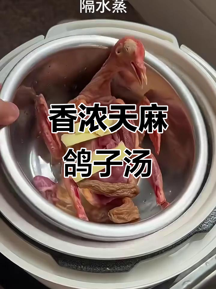 天麻鸽子汤，香气扑鼻让人无法抗拒
