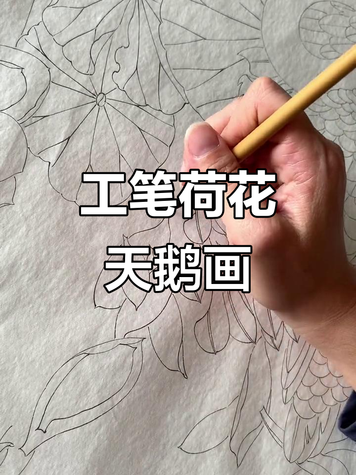 斗方荷花与天鹅的工笔画技巧,轻松上手