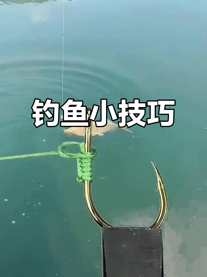 轻松掌握钓鱼技巧,快速系好鱼钩