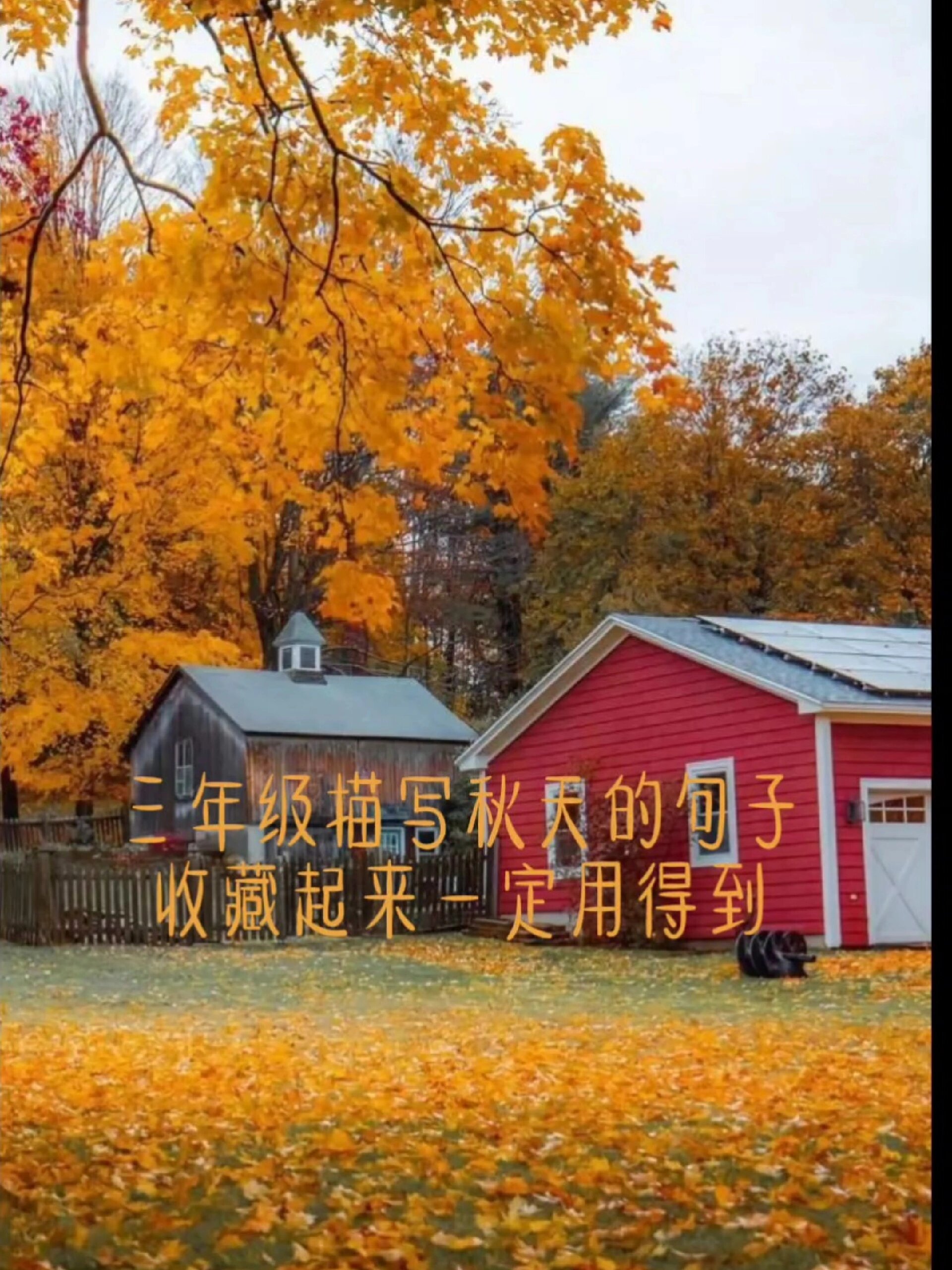 三年级学生那些适合描写秋天的句子