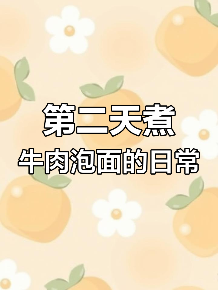 摆摊卖牛肉泡面,第二天忙碌的准备过程