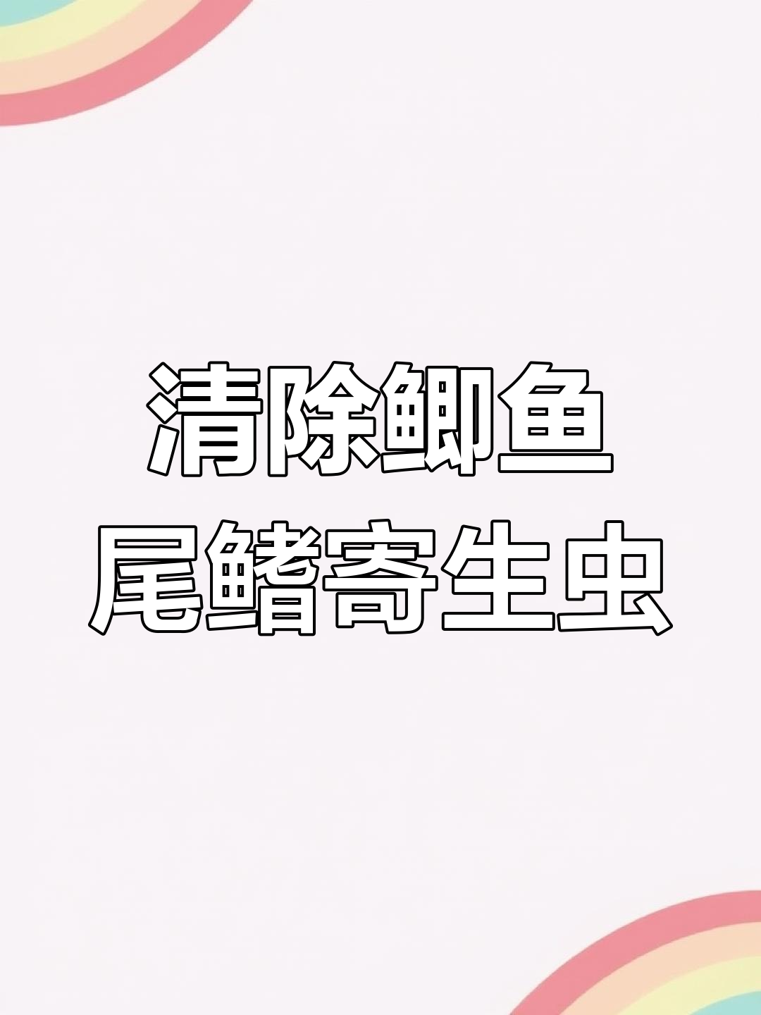 鲫鱼尾巴上的红线虫,竟然是寄生虫!钓鱼人教你清理方法