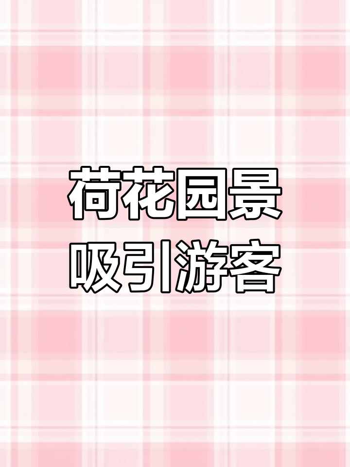 宁波园林荷花盛开,金鱼戏水