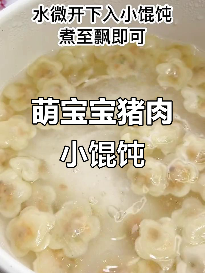 9月宝宝美食:猪肉小馄饨,一口一个超可爱!