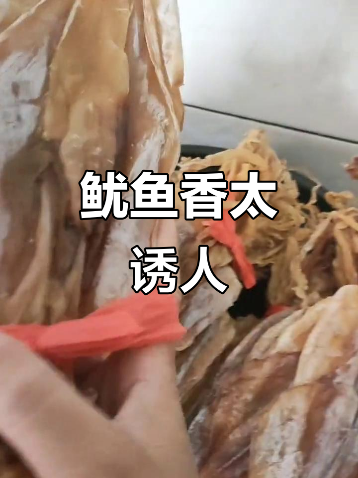 鱿鱼公母大揭秘,香气扑鼻让人无法抗拒