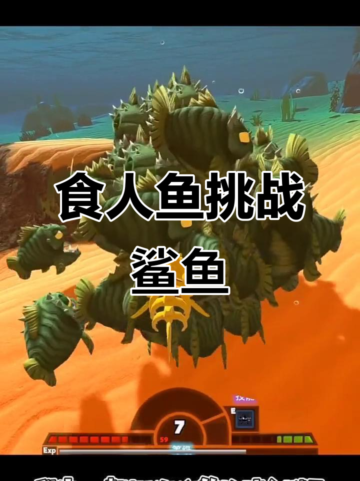 食人鱼大战鲨鱼,骨头竟成武器!