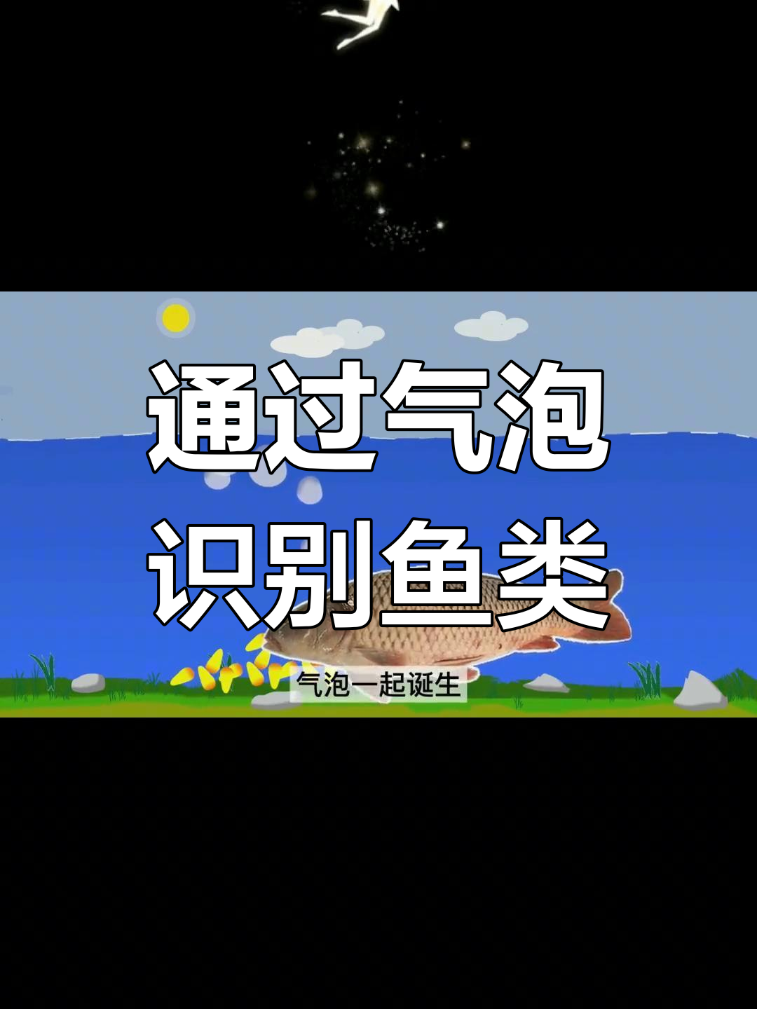 钓鱼技巧:如何通过气泡判断鱼种,鲫鲤区别一目了然
