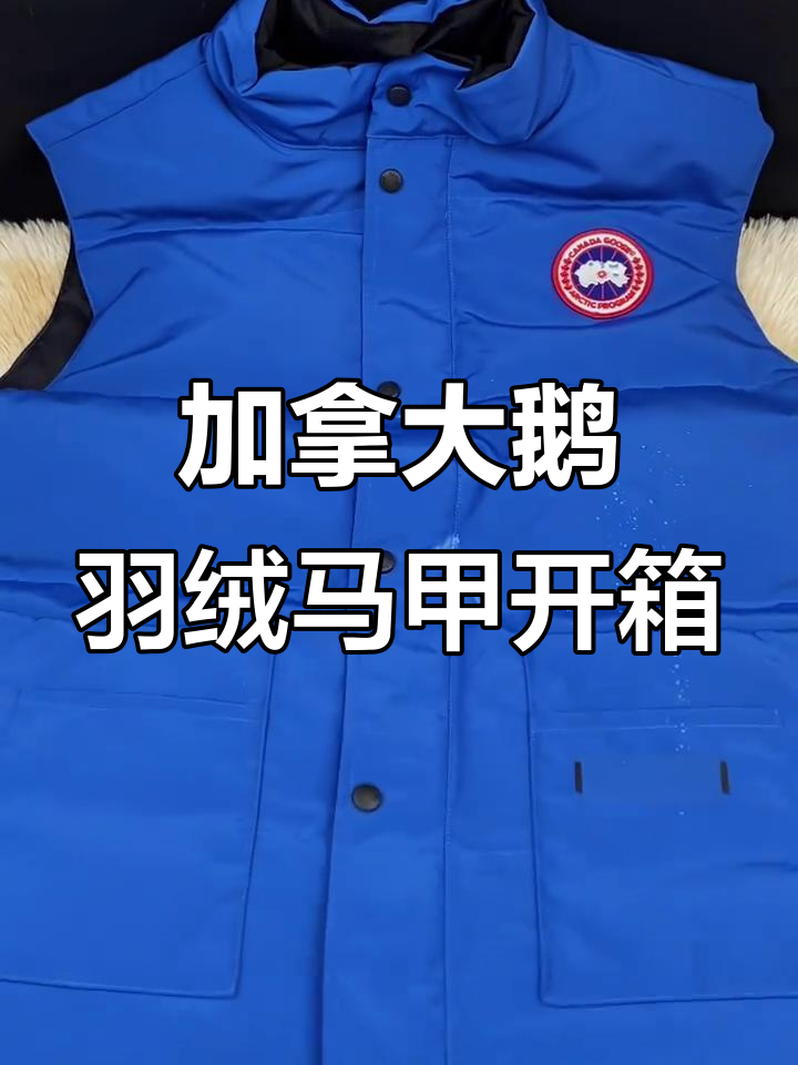 加拿大鹅羽绒马甲开箱，聊了很久的天却没感情