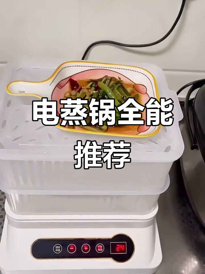 志高电蒸锅,三层大容量,自动蒸汽烹饪,早餐神器!