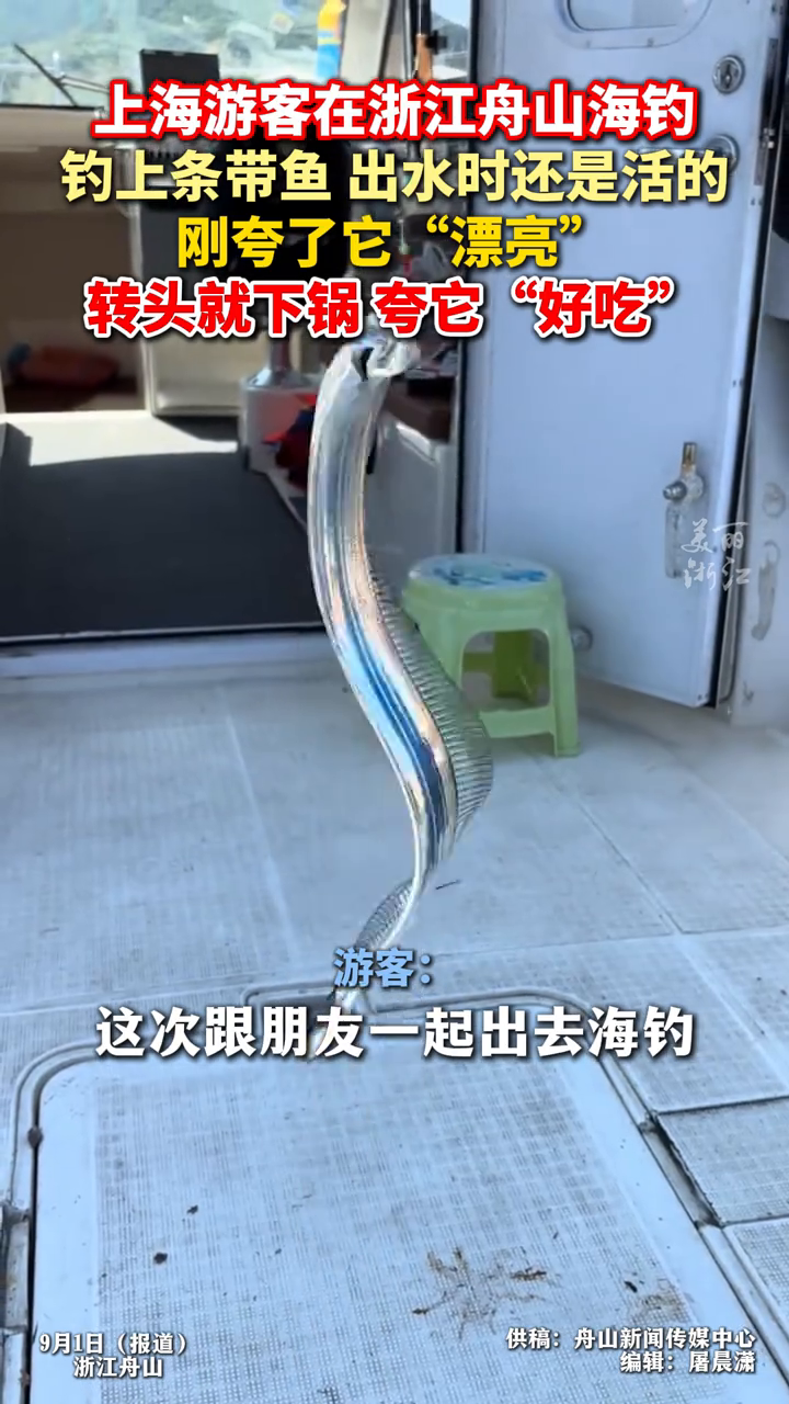 上海游客在舟山钓上活带鱼 前脚还夸“好看”，后脚就下锅