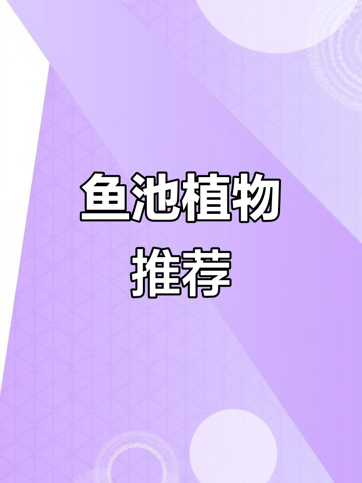 鱼池旁选植物,落叶少更美观,这几款最合适