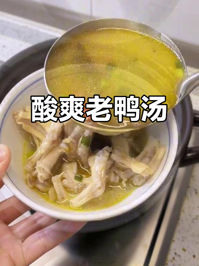 酸萝卜炖鸭掌汤，清爽不腻，冬季必备美味
