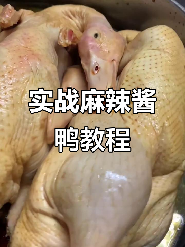 麻辣酱鸭制作全攻略,香料与调料比例大揭秘