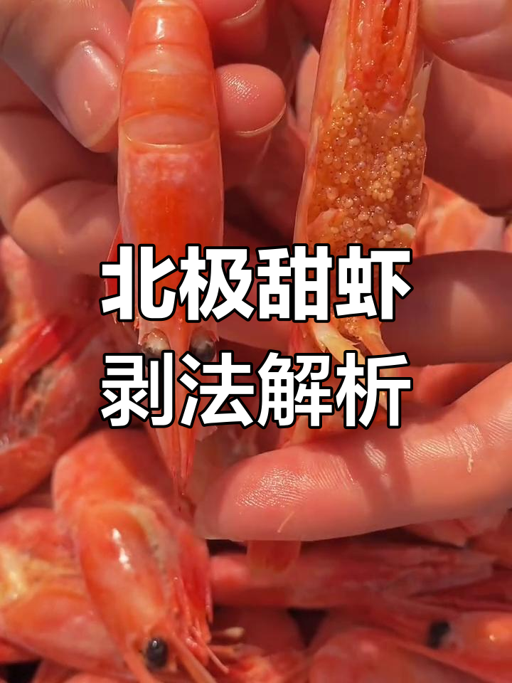 头籽与腹籽北极甜虾的剥法大揭秘,哪个更香?
