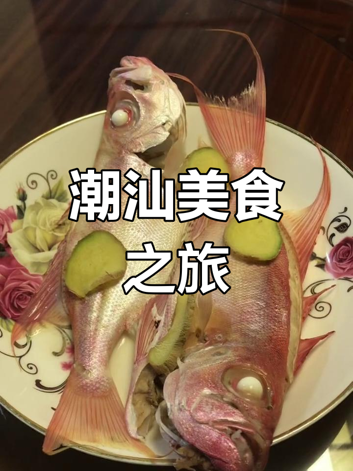 品尝潮汕经典,松鱼汤、红目鲢与生蒸美味